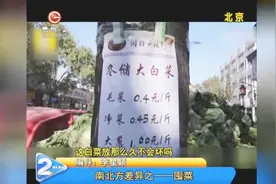 南方买菜买一顿，北方买菜买一吨？南北方差异之，囤菜！