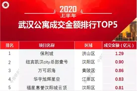 宜居新贵！万可•后海武汉公寓的销售黑马图片