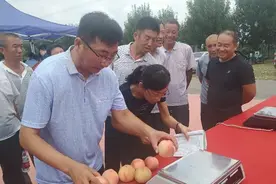“桃王”出炉！黄河涯镇举办第十届万亩桃园采摘节图片