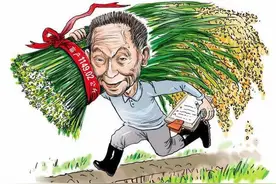 为什么全国大多数的人都没有吃过袁隆平种植出的大米？图片