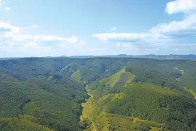 植树 人类向自然的回馈图片