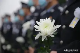 拼命三郎啊，你慢点走，渭南全城今日为你送别！图片