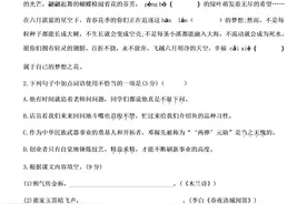 七年级语文下册期末测试卷。期末复习好帮手，含答案，可打印图片