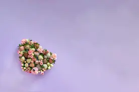 其实，一个人过，也挺好的图片