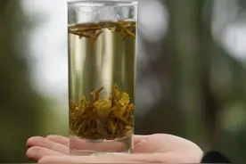 蒙顶黄芽：老川茶的温润时光图片