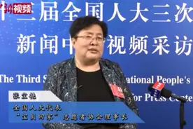 全国人大代表、宝贝回家发起人张宝艳：34万志愿者的团圆之路图片
