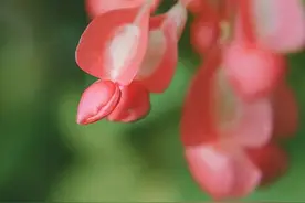 失败是成功之母？剧毒鸡汤图片