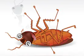 怎么灭蟑螂？老师傅的推荐，蟑螂药的最佳用法图片