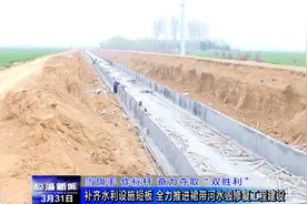 临淄：补齐短板  推进裙带河水毁修复图片