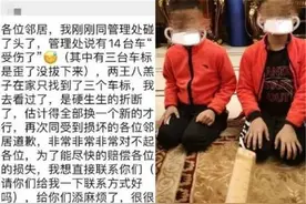 5岁双胞胎掰断小区14辆豪车车标，看到爸爸的做法，车主：原谅图片