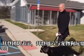 拜登与宠物狗玩耍时受伤，特朗普发推祝其早日好转，是真心的？图片