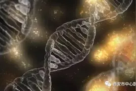 神秘的染色体疾病——新生儿科优生优育系列科普专栏图片
