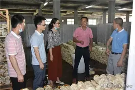 吴志辉：心系脱贫致富的“兵支书”图片