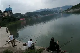 钓鱼诗词一组图片