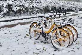 大雪过后，孩子摔了一跤手机丢了！妈妈都做了什么…图片