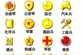 中国人民解放军军服军种符号、勤务符号标志(一)图片