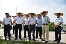 肇庆学院调研组到怀集调研现代农业产业发展情况图片