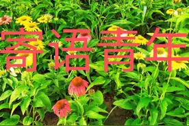 对厚德载物的理解图片