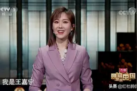 《典籍里的中国》：撒贝宁王嘉宁张舒越3主持人各司其职颠覆印象图片