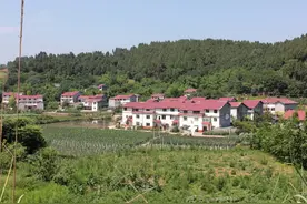 有你们村吗？成都金堂这3个村获评新称号啦！图片