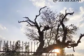 1800多年前，诸葛亮出山第一把火——火烧博望坡，如今怎么样了？图片