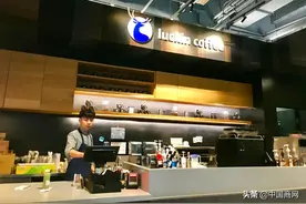 瑞幸咖啡深夜换掉CEO和COO 紧急上任的高管有何背景图片