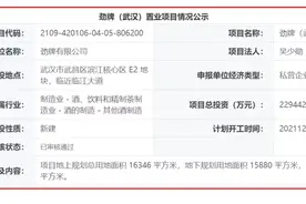 刚刚！劲牌落定武昌滨江图片