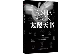 太傻天书｜你的最后一本书图片