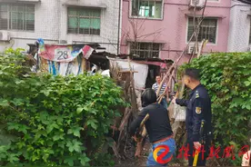 天元区泰山路街道办拆除一违规简易工具棚图片