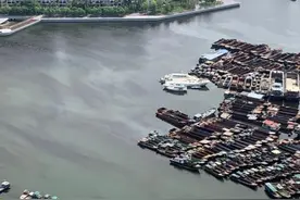 深圳湾海域出现赤潮 海水呈浅红褐色图片