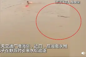 两男子游泳时引来水蛇追逐 现场水蛇一步步逼近 吓得男子仓皇上岸图片