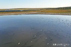 影像记录丨河北尚义：绿色发展生态美图片