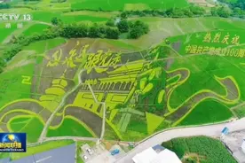 外国政要：为人民服务 这一宗旨我很有共鸣图片