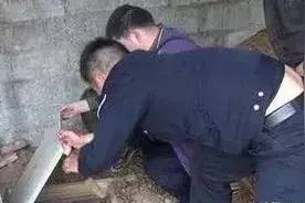故事：女儿失踪，八年后在邻居家的地窖中找到，看到眼前景象父母痛哭图片
