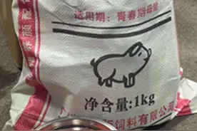 这帮姐们玩疯了：宁静送人“猪饲料”，伊能静新编甩葱舞图片