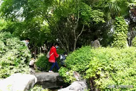 青砖黛瓦锦鲤游泳，郑州紫荆山公园这个苏式小院，给人不一样感觉图片