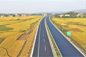【收官十三五 精彩看平南】年底通车！荔玉高速公路绿化工作稳步推进图片
