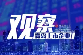 青岛中加特电气的上市之路：营收见涨净利暴跌，前景不明图片