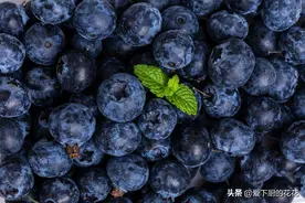 蓝莓的正确清洗方法，干净无残留，孩子吃得放心图片