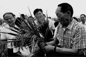袁隆平院士安葬仪式今天举行，云南记得您留下的深情图片