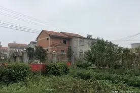 感人！流浪失忆高材生重拾“人间烟火”图片