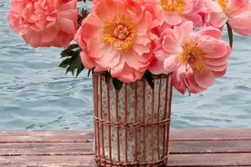 高辞：我不在乎输赢，我只是认真图片