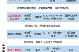 大武昌，大光谷，大汉阳，楼盘汇总表图片