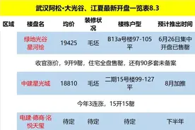 大武昌，大光谷，大汉阳，楼盘汇总表图片