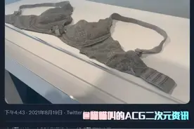 日本艺术家“山本优美”做的胸罩堪比真品，网友晒图表示难以分清图片
