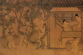 中国人为什么爱吃白菜，几千年来经久不衰图片