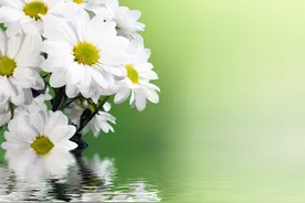 随笔：母亲走后的第二个寒衣节图片