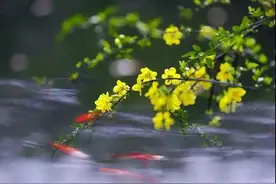 开怀一笑天下事， 闭口不论世上人图片
