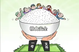 “屯粮”是谣言，国家有准备，中国人是不会再饿肚子的图片