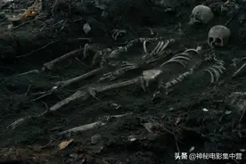 一个美国厨子和一个中国移民，怀揣淘金梦偷牛奶，最后梦碎惨死图片